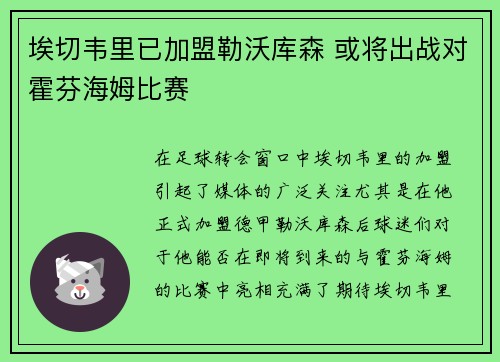 埃切韦里已加盟勒沃库森 或将出战对霍芬海姆比赛